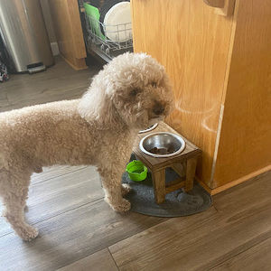 Meet your Posher, Aliyah